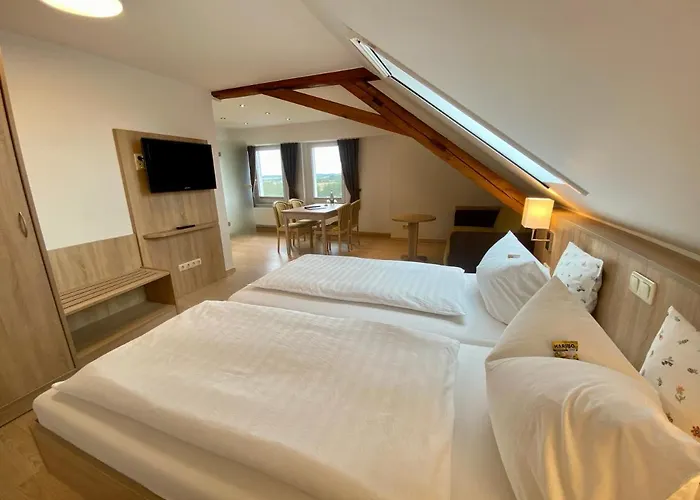 Hotel Drei Schwanen 3*