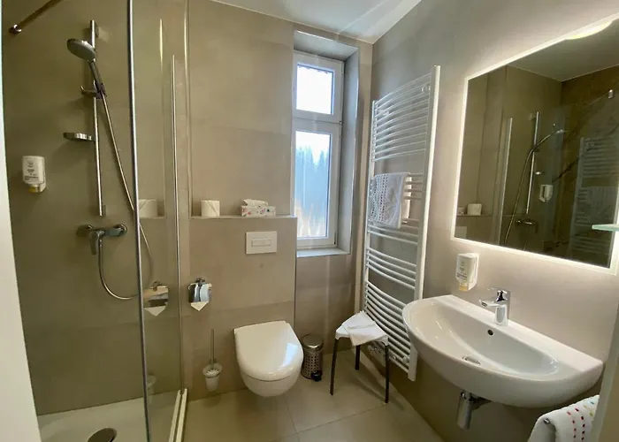 Drei Schwanen 酒店 3*